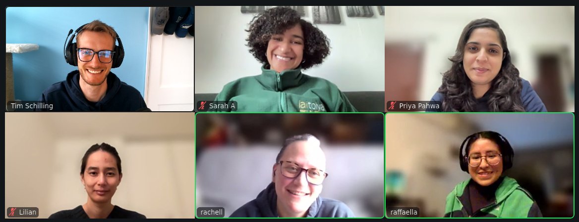 A screenshot of the Djangonaut Space Admins and Advisors on a video call together.